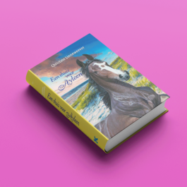 Grafisch Vormgeving Agnes Visser Alkmaar Noord-Holland Amsterdam branding catalogi logo’s verpakkingen magazines brochures advertenties flyers folders jaarverslagen kranten wordsjablonen invulformulieren websites boeken rapporten briefpapier visitekaartjes